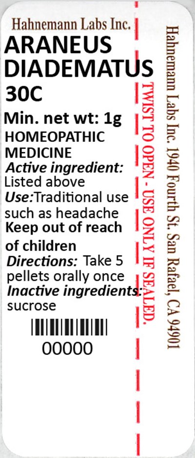 Araneus Diadematus 30C 1g.jpg Araneus Diadematus 30C 1g - Araneus Diadematus 30C 1g